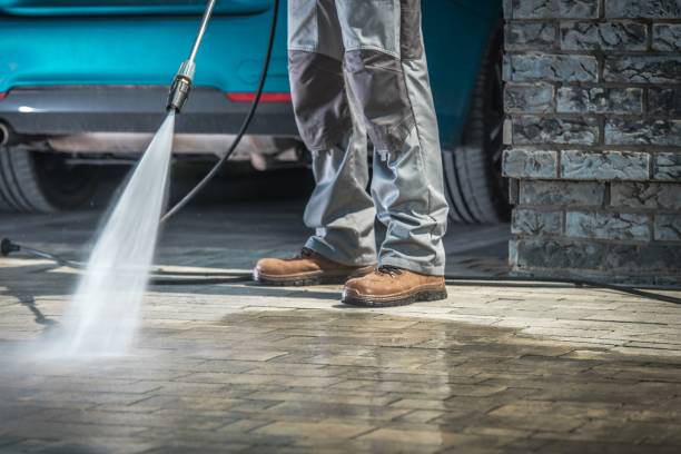 Best Paint Preparation  in Mountain Lake, MN