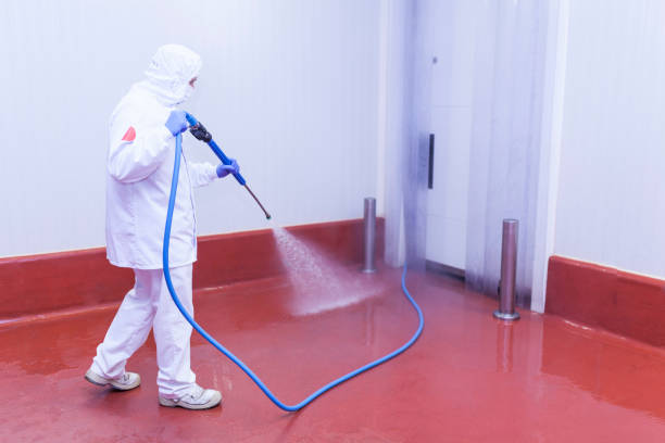 Best Driveway Pressure Washing  in Mountain Lake, MN