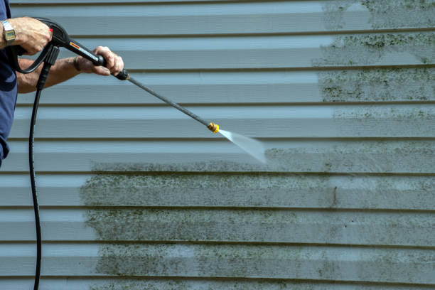 Best Solar Panel Cleaning  in Mountain Lake, MN